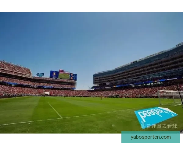 美加墨世界杯下注指南全面解析玩法技巧与风险控制